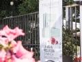 EVENTO_FISIC-37