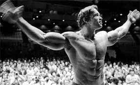 arnold tra la folla